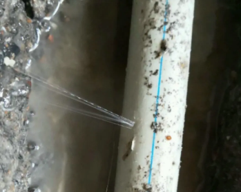 尼玛卫生间测漏水多少钱