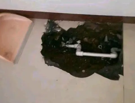 尼玛卫生间测漏水多少钱